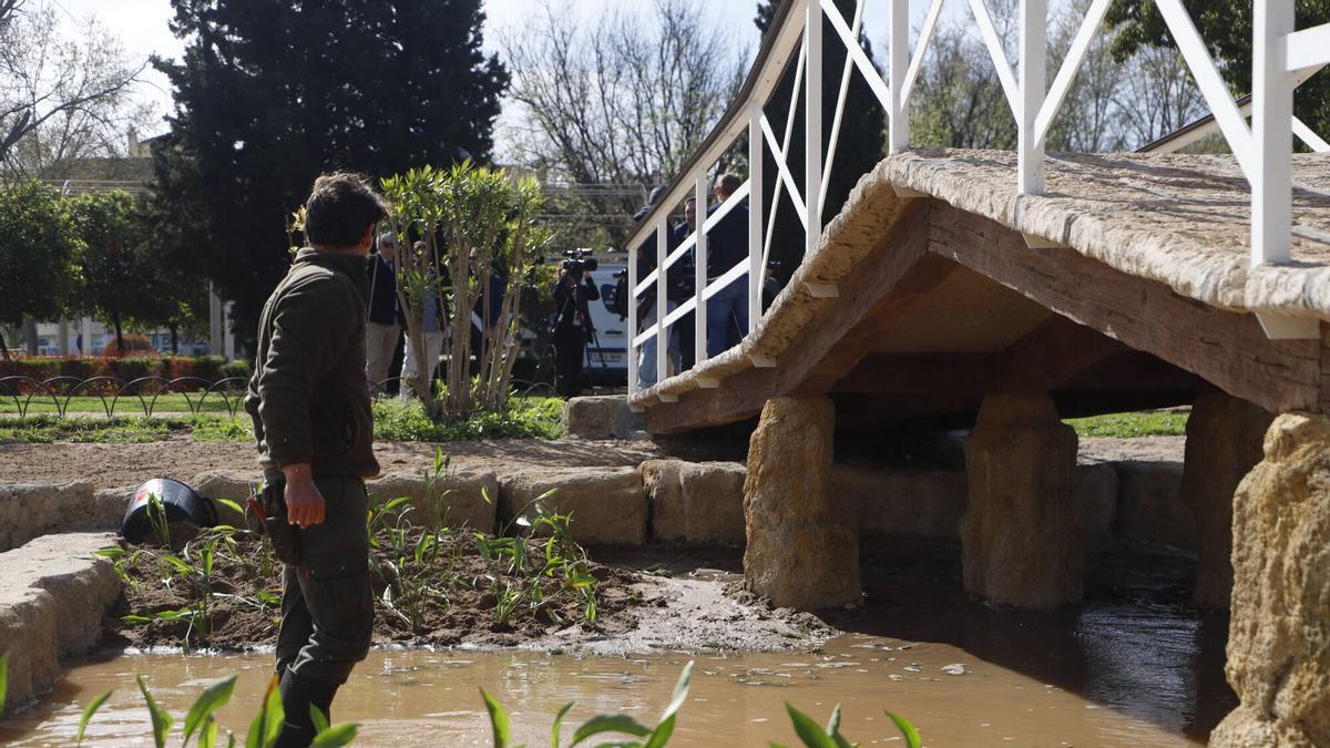 Trabajos de naturalización del estanque de los Jardines Elena Fortún.