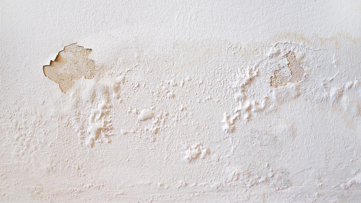Cuando la pintura de la pared de desconcha, hay un problema de humedades detrás.