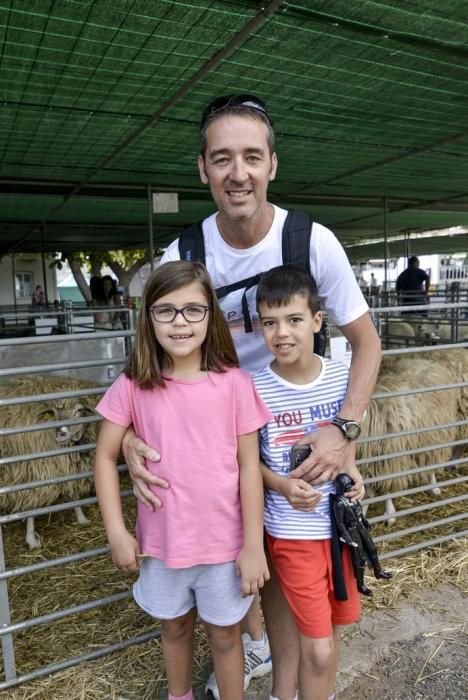 ARUCAS GRAN CANARIA A 27/05/2017. Feria de Ganado en la Granja del Cabildo de Gran Canaria. FOTO: J.PÉREZ CURBELO