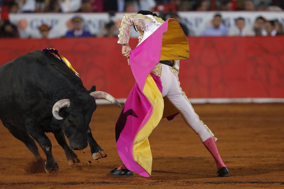"Mantener vivas las corridas de toros perpetúa una vergüenza colectiva"