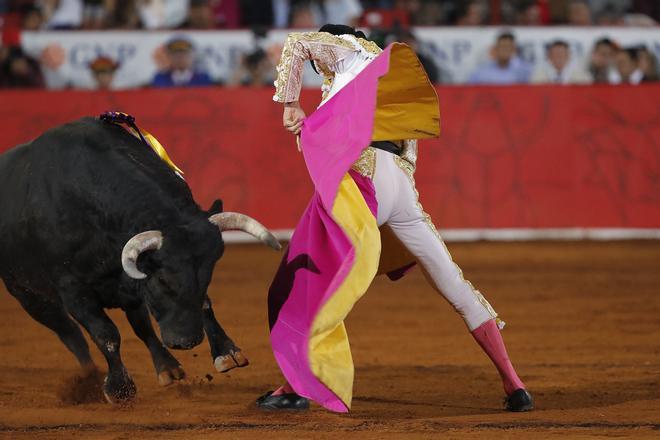 "Mantener vivas las corridas de toros perpetúa una vergüenza colectiva"