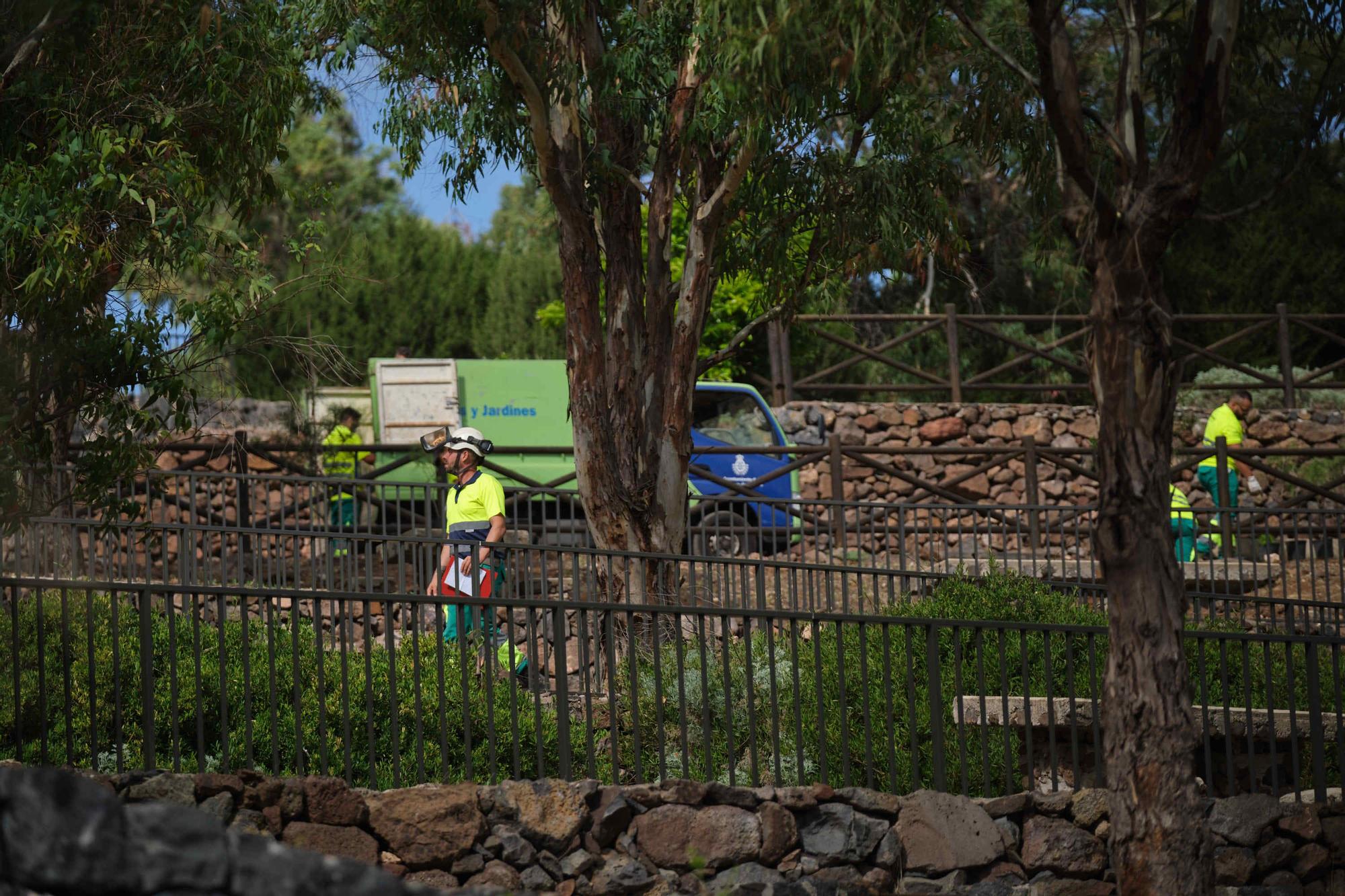 Reapertura del Parque de Las Mesas en Santa Cruz