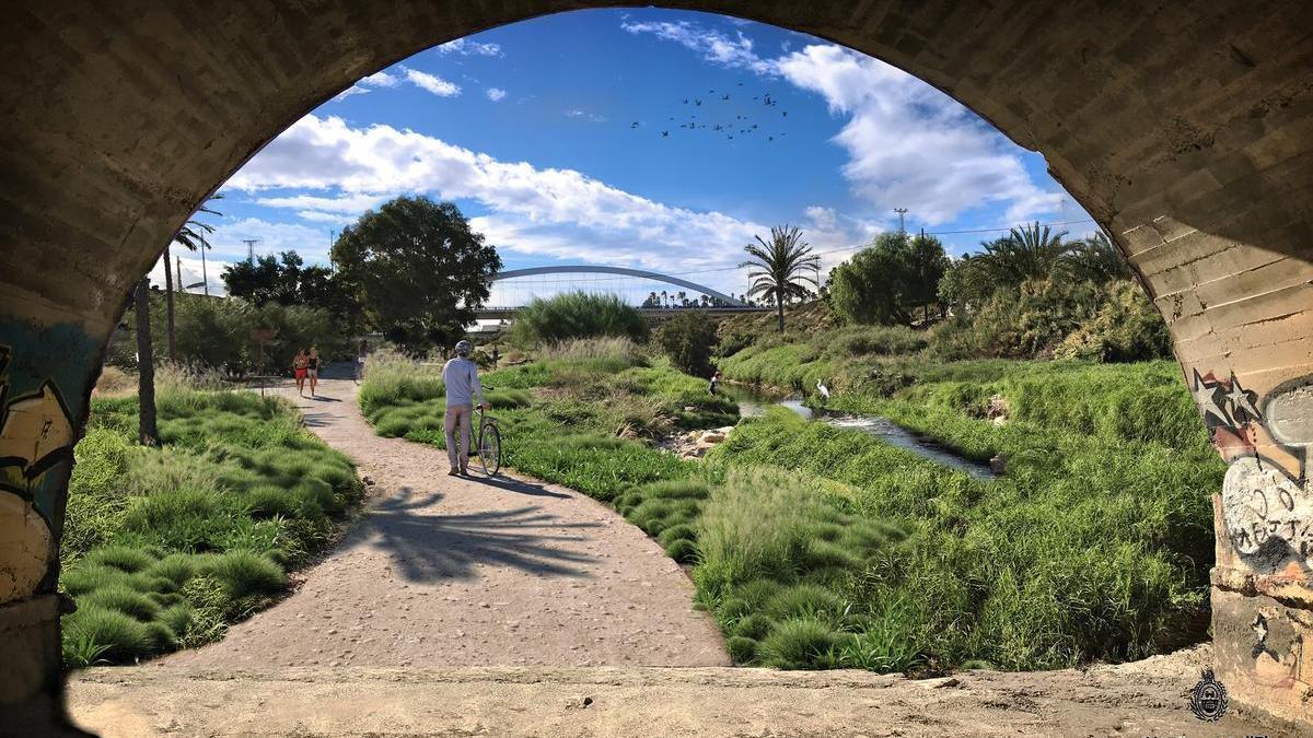 Recreación del futuro sendero del río Vinalopó, en Elche