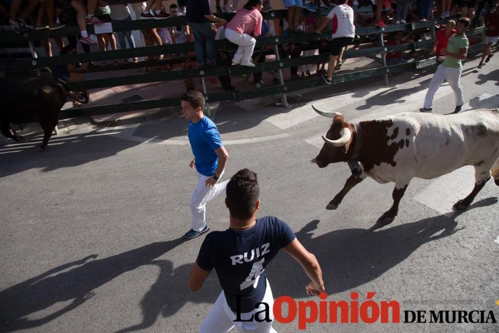 Segundo encierro de Calasparra