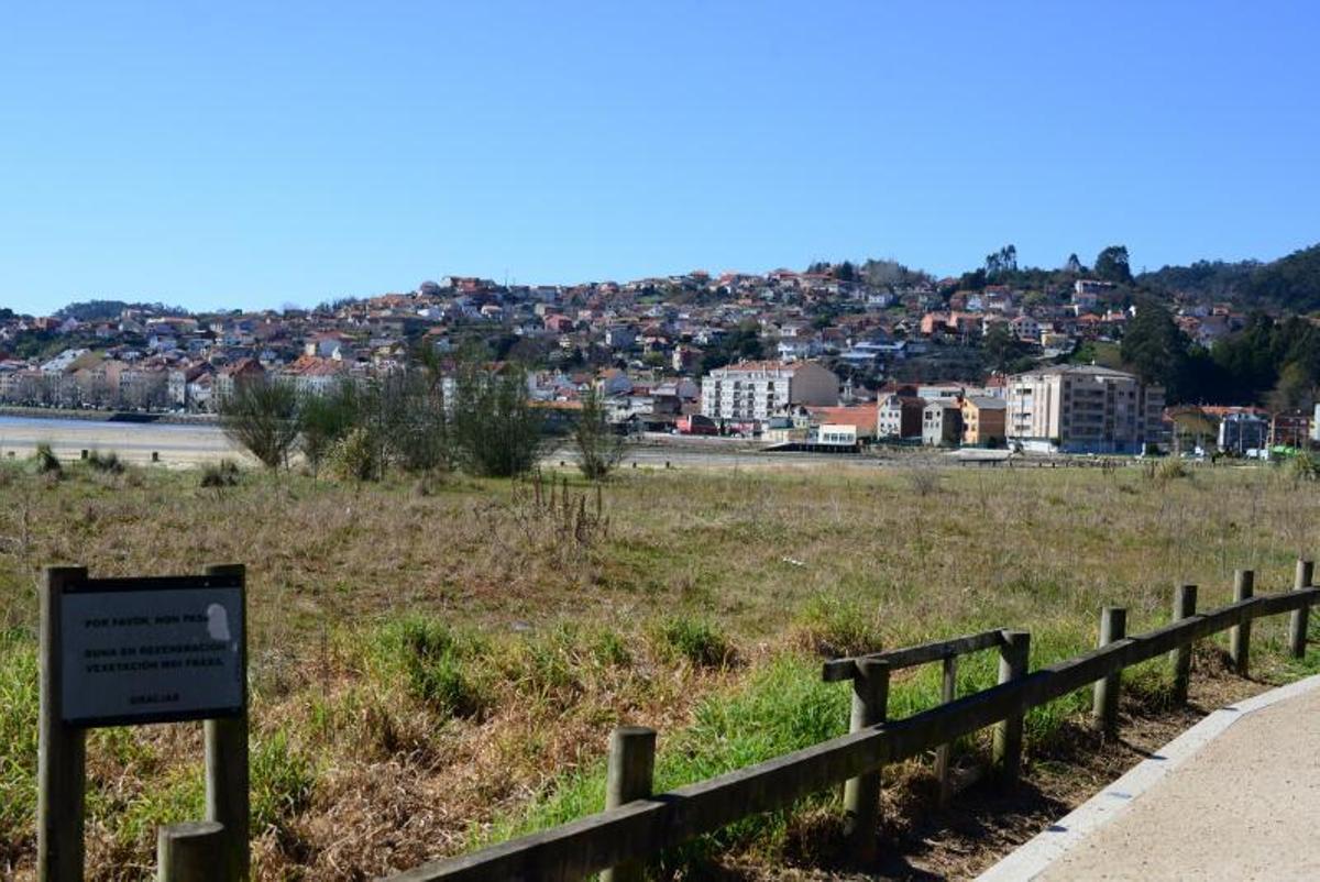 Una vista de las dunas, con maleza y el centro de la villa al fondo.   | // GONZALO NÚÑEZ