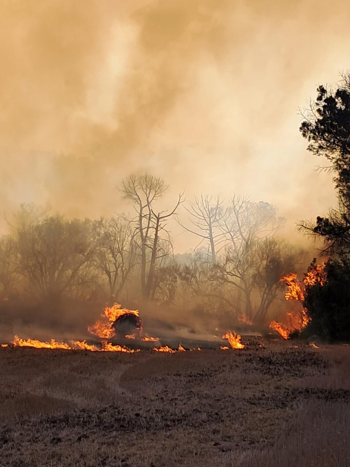 Crema sense control un incendi forestal a peu de les Gavarres a la Bisbal Crema sense control un incendi forestal a peu de les Gavarres a la Bisbal