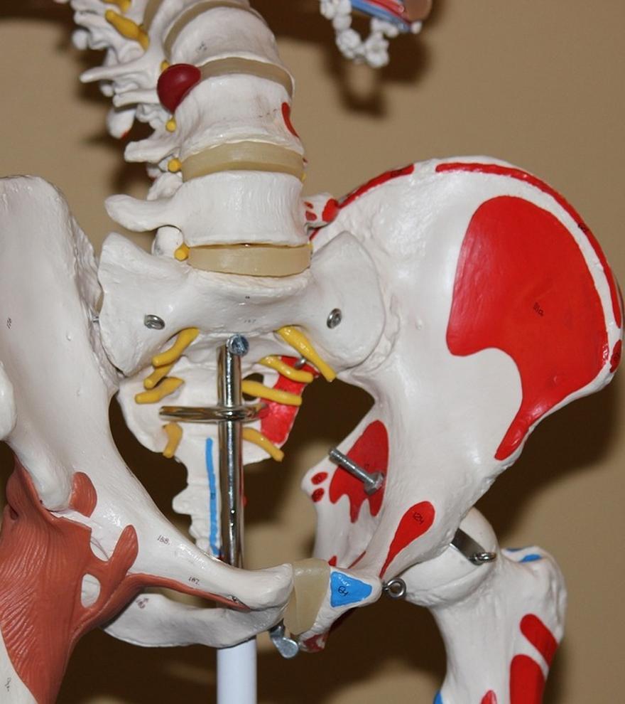 Riesgos, dolor, plazos... lo último sobre la cirugía de cadera, según Harvard