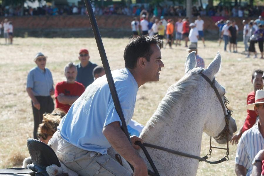 Fiestas en Zamora: Segudos espantes de Fuentesaúco