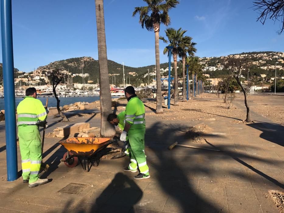 El Port d'Andratx tras el temporal