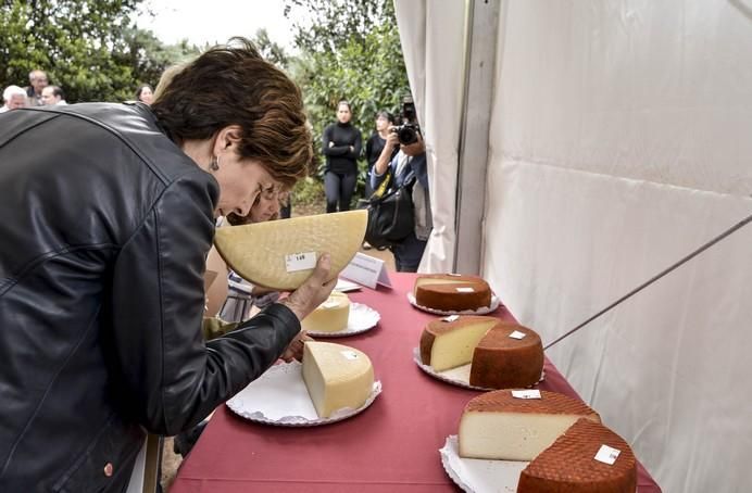 CONCURSO QUESO DE GRAN CANARIA