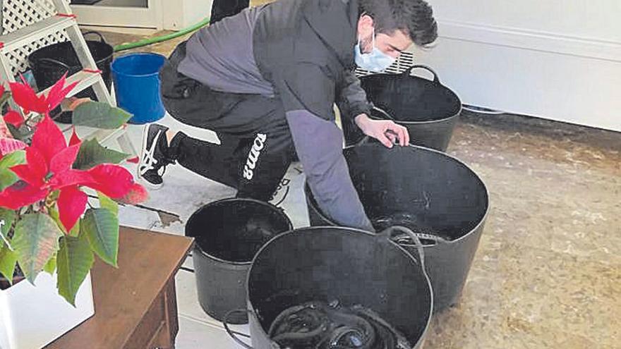 Cubos de anguilas en la pescadería.