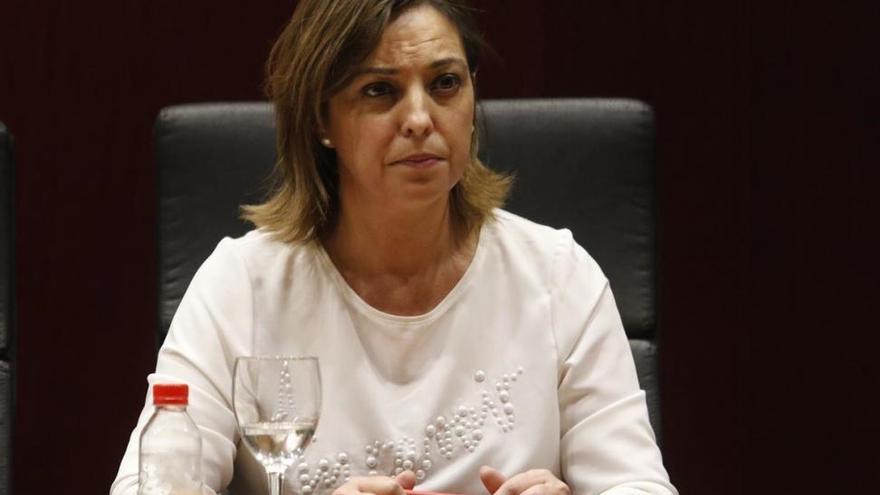 Ambrosio pide una reunión con la Junta y la Subdelegación por el &#039;macrobotellón&#039;