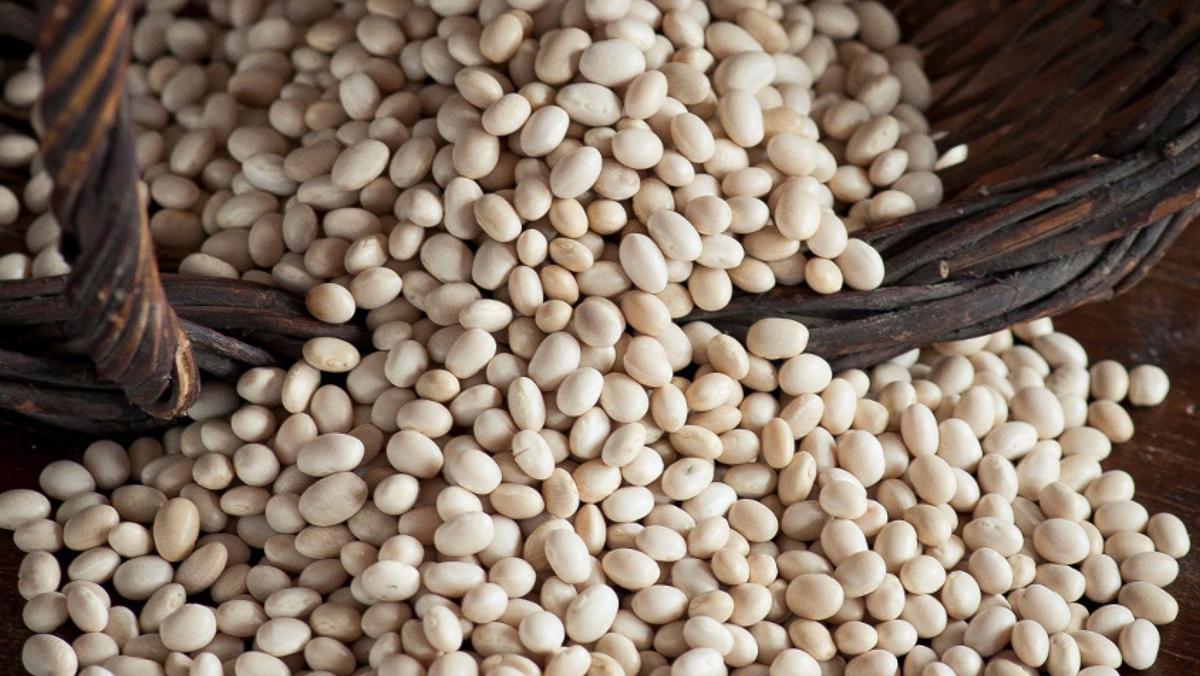 'Fesols' de Santa Pau, un producto de esencia volcánica.