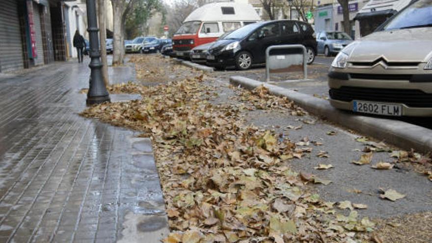 Once provincias, en alerta por fenómenos costeros y viento.