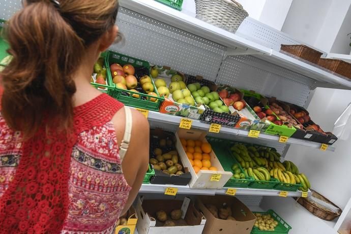 13-09-19 LAS PALMAS DE GRAN CANARIA. DISTINTAS FRUTERIAS. LAS PALMAS DE GRAN CANARIA. Reportaje fruterías. Fotos: Juan Castro.  | 13/09/2019 | Fotógrafo: Juan Carlos Castro