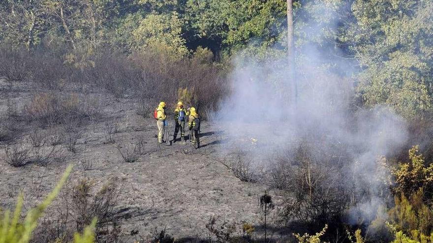 Brigadistas trabajan, ayer, en la extinción del incendio en el lugar de Pardesoa. // Bernabé/Javier Lalín