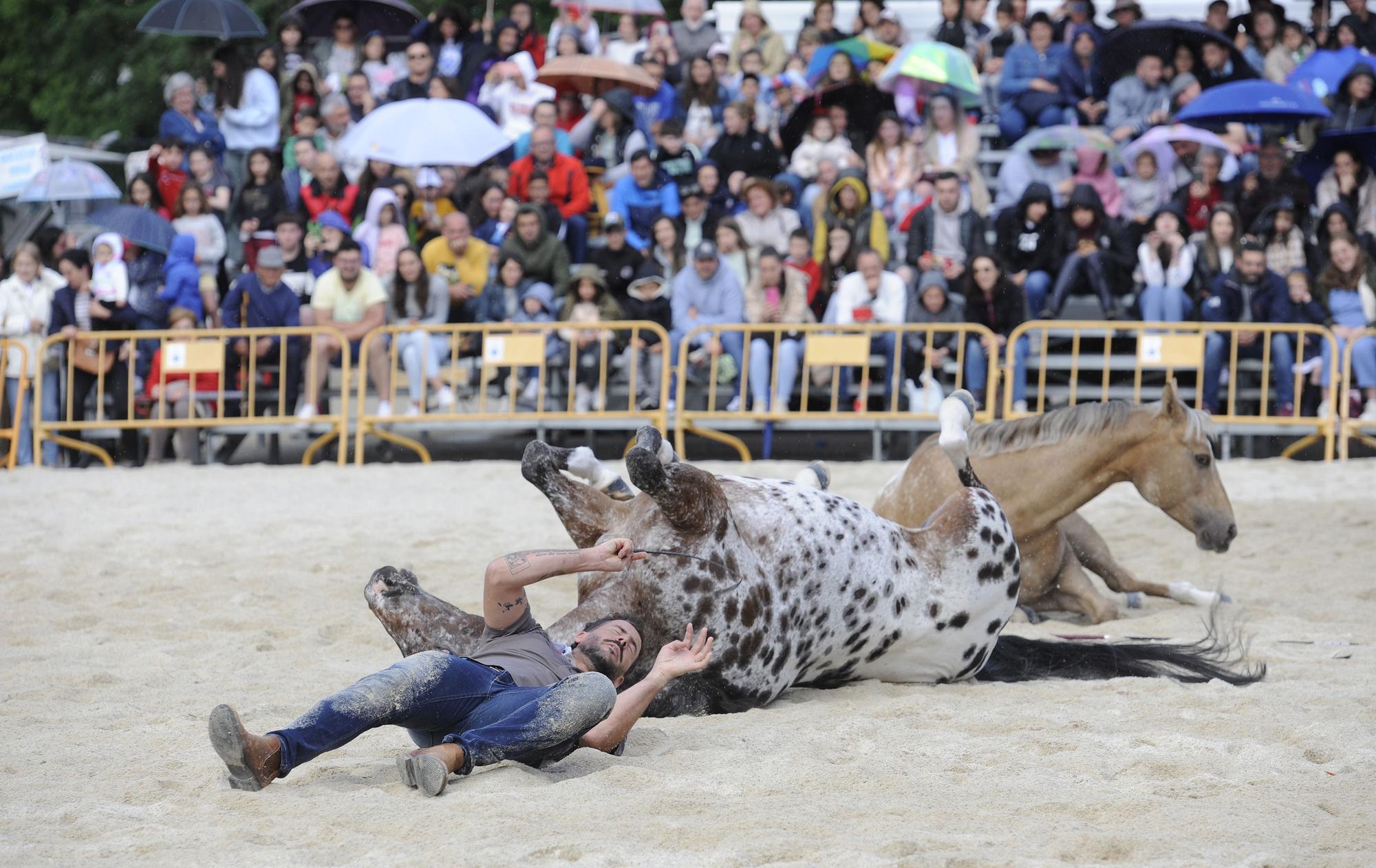 Danza sobre la arena: el espectáculo equino de Santi Serra hipnotiza Lalín