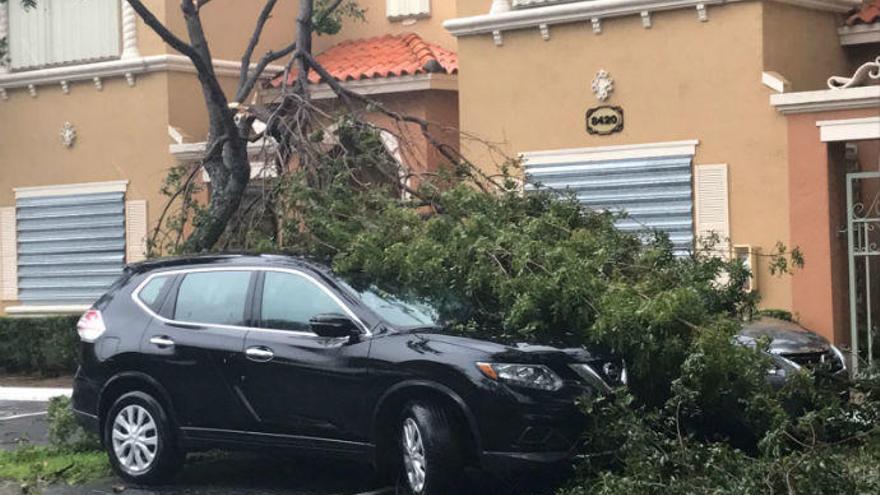 Una rama caída en un coche frente a la casa de Cristina Vicedo.