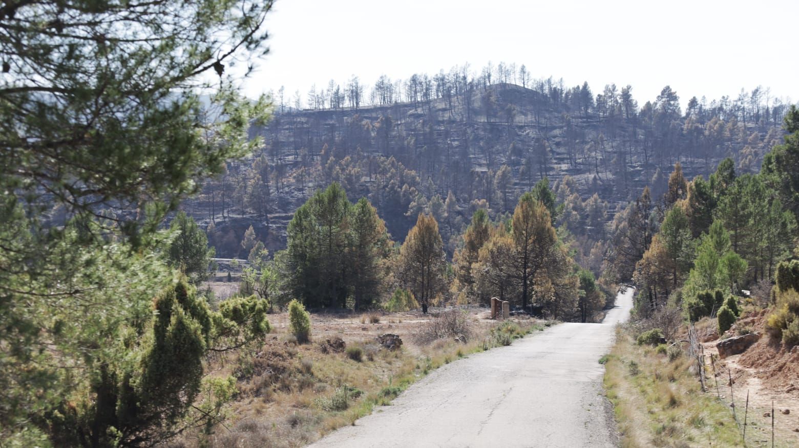 Las llamas devoran el interior de Castellón, dejando este paisaje desolador