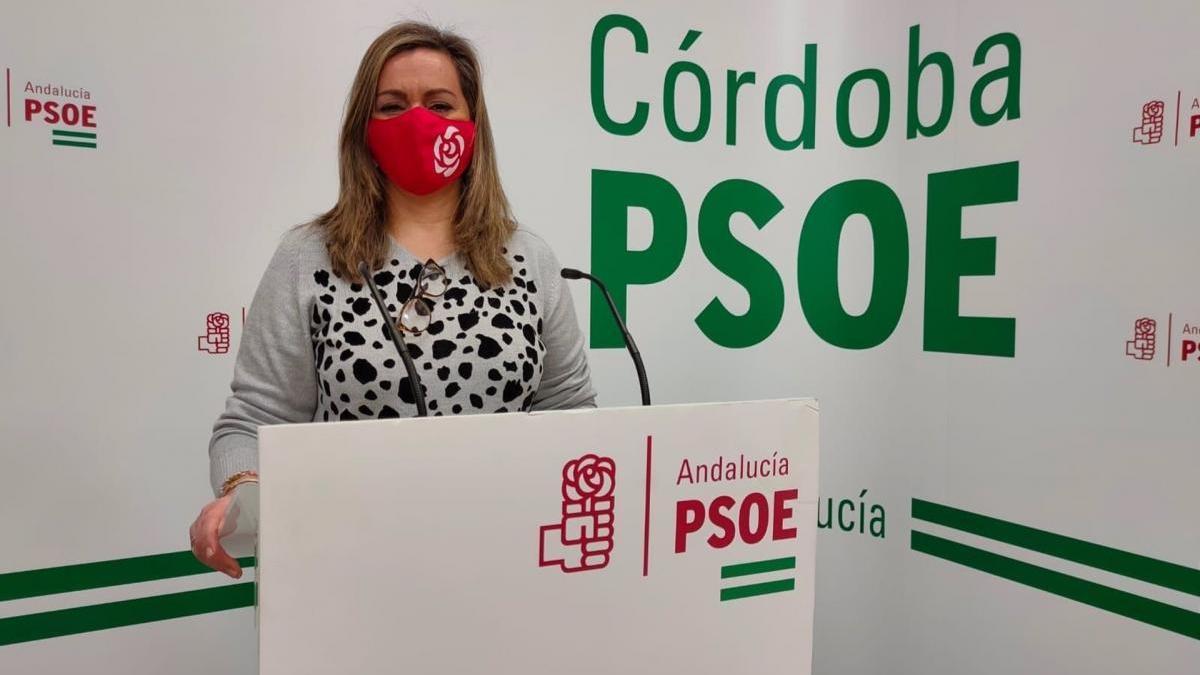 PSOE-A exige que el reparto de vacunas se haga a través del SAS y que sean prioritarios los usuarios de centros de día