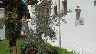 El refugio y la esperanza del poeta