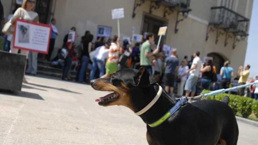 A la concentración acudieron protectoras de toda la provincia.