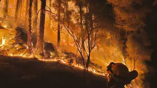Canarias declara alerta general por riesgo extremo de incendios forestales