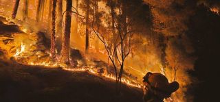 DIRECTO | El incendio de Tenerife sigue sin control: más de 2.600 hectáreas afectadas y 150 personas evacuadas