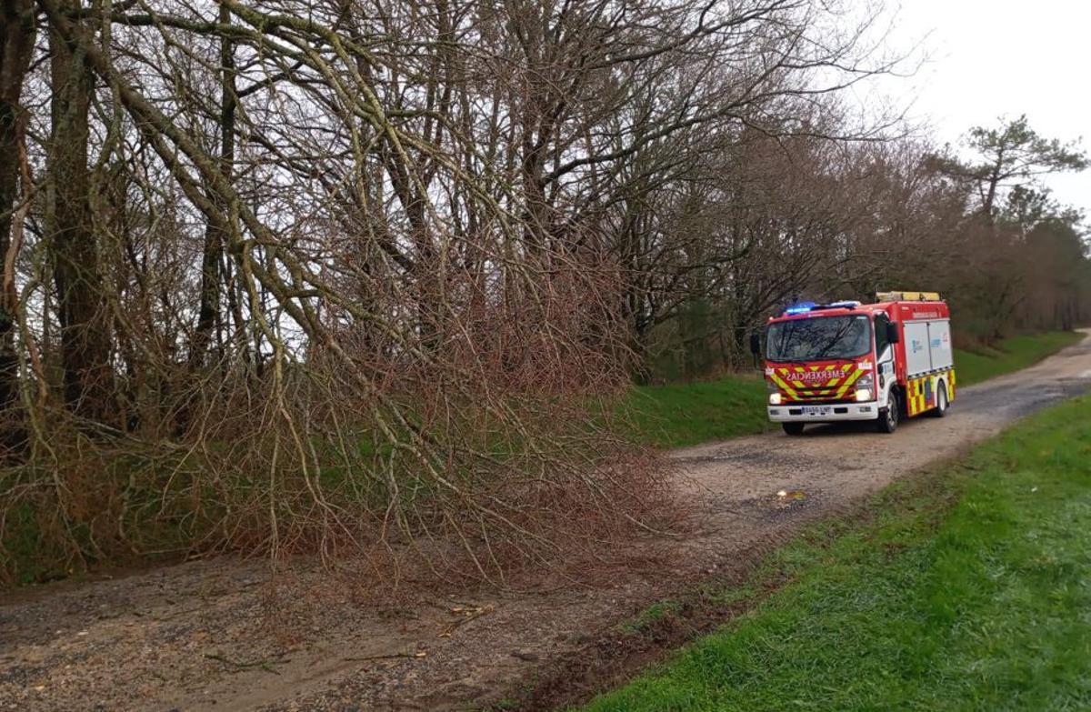 Árbol caído en la carretera que va de Castasós a Dornelas, en Lalín. | EMERXENCIAS LALÍN