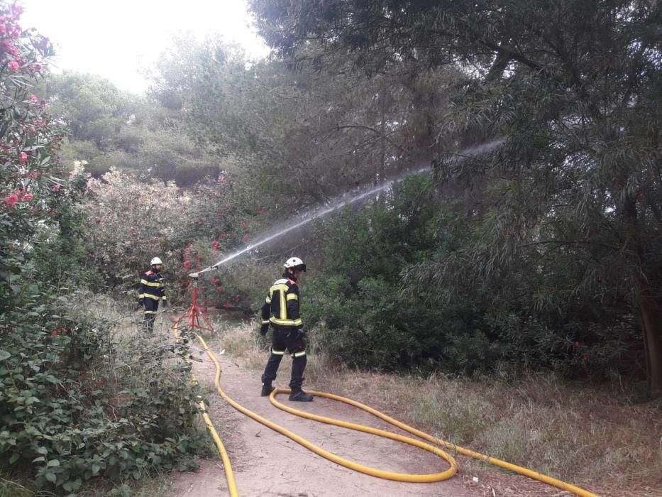 El cuerpo de Bomberos de València renueva sus trajes técnicos