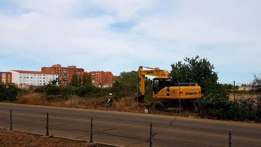 Trabajos de desbroce iniciados durante la tarde del lunes en la Vía del Canal.