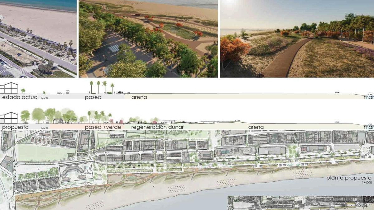 La planta propuesta por el 
ayuntamiento genera 
un encuentro más amable 
entre la playa y el mar