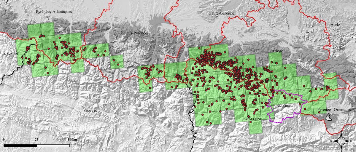 Distribució per quadrícules UTM 10 x10 km de l'os bru als Pirineus, l'any 2023: àrea de distribució total de 7.100 km² (1.800 km² als Pirineus occidentals i 5.300 km² als Pirineus centrals)