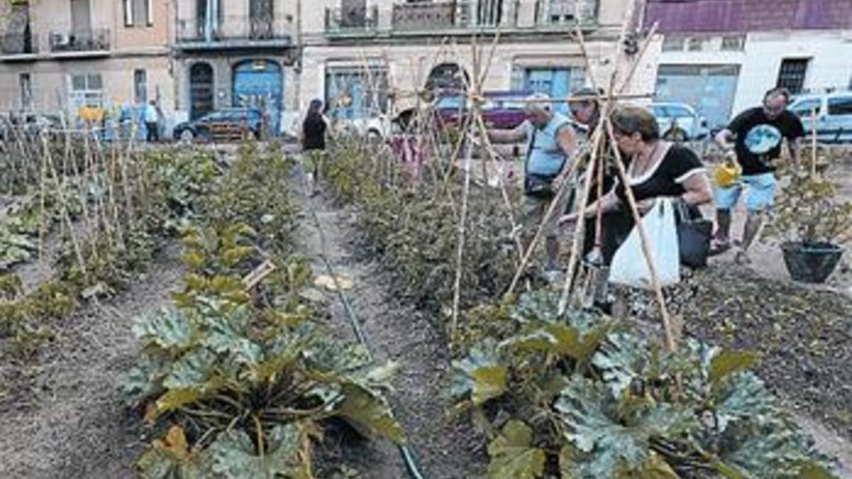 Algunos vecinos, en el solar de L'Horta Alliberada de Sants.