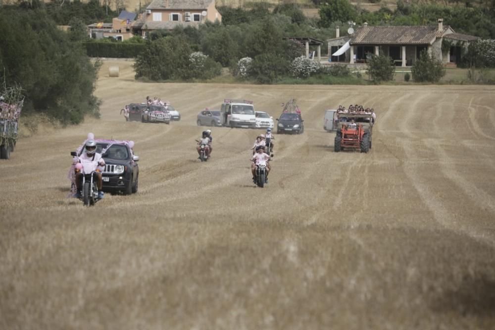 Mucada 2019: Sineu vive la fiesta del Much