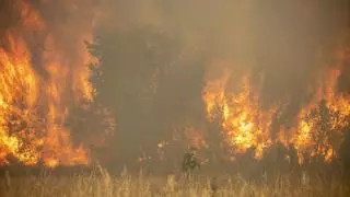 La Junta controlará el oeste de Zamora con cámaras de vigilancia de incendios