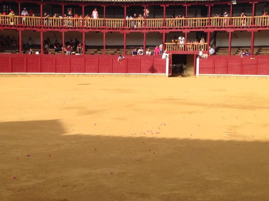 Fiestas Toro- concurso de jóvenes cortadores