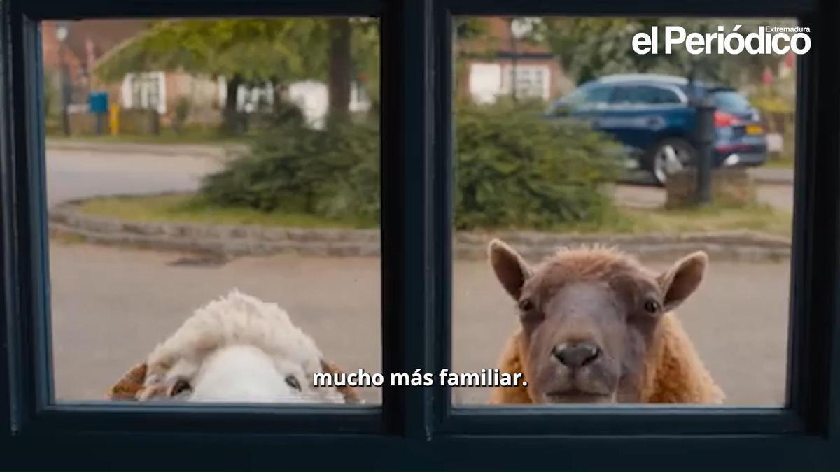 Cine para todos los gustos: de la acción espacial a la comedia española y la nostalgia musical