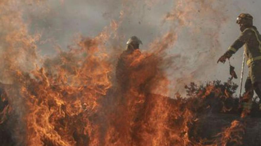 Los incendios quemaron 910 hectáreas en 2023, la cifra más baja en 20 años