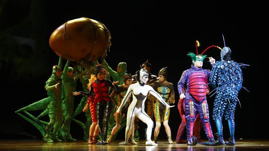 En imágenes | Así es ‘Ovo’, el espectáculo del Circo del Sol que ha llegado a Zaragoza
