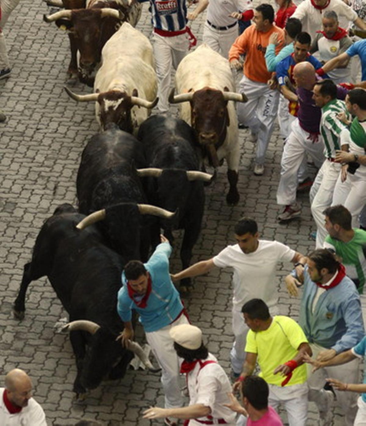 Els mossos corren davant dels toros de la ramaderia salmantina de Valdefresno.