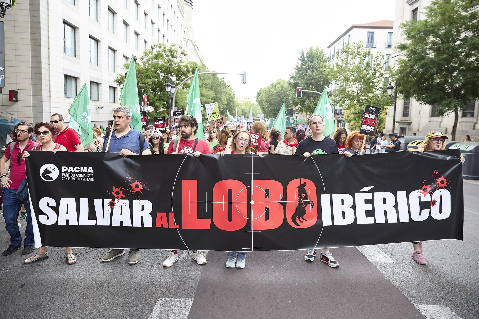Las imágenes de la manifestación en Madrid por el lobo