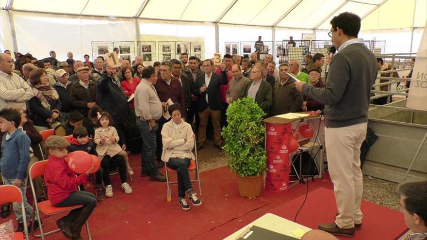 La diputación participará en la feria del ganado