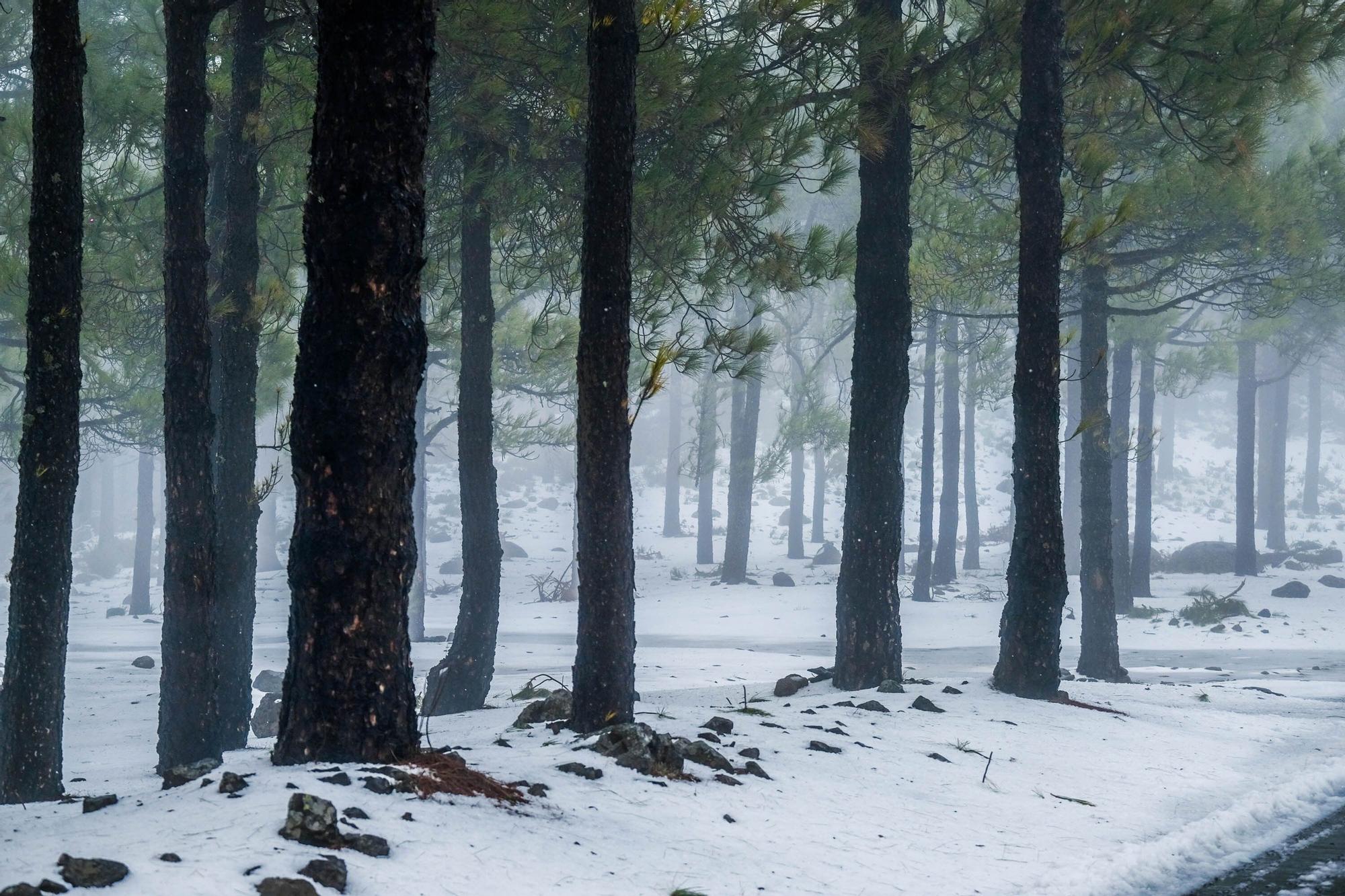 Nieve en la cumbre de Gran Canaria (15/03/2022)