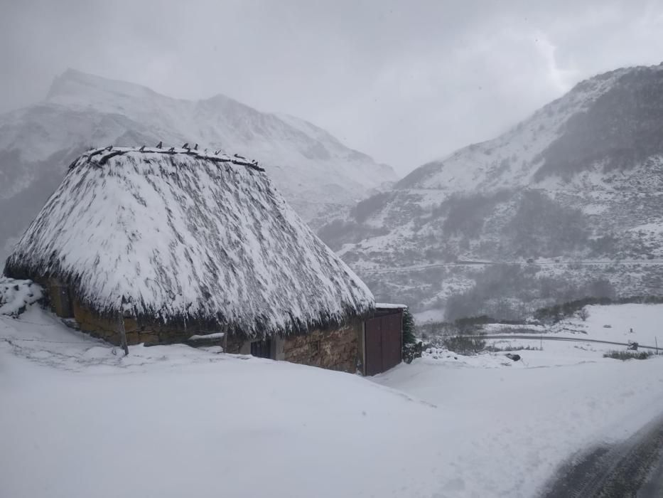 Temporal de nieve en el puerto de Somiedo y La Peral.