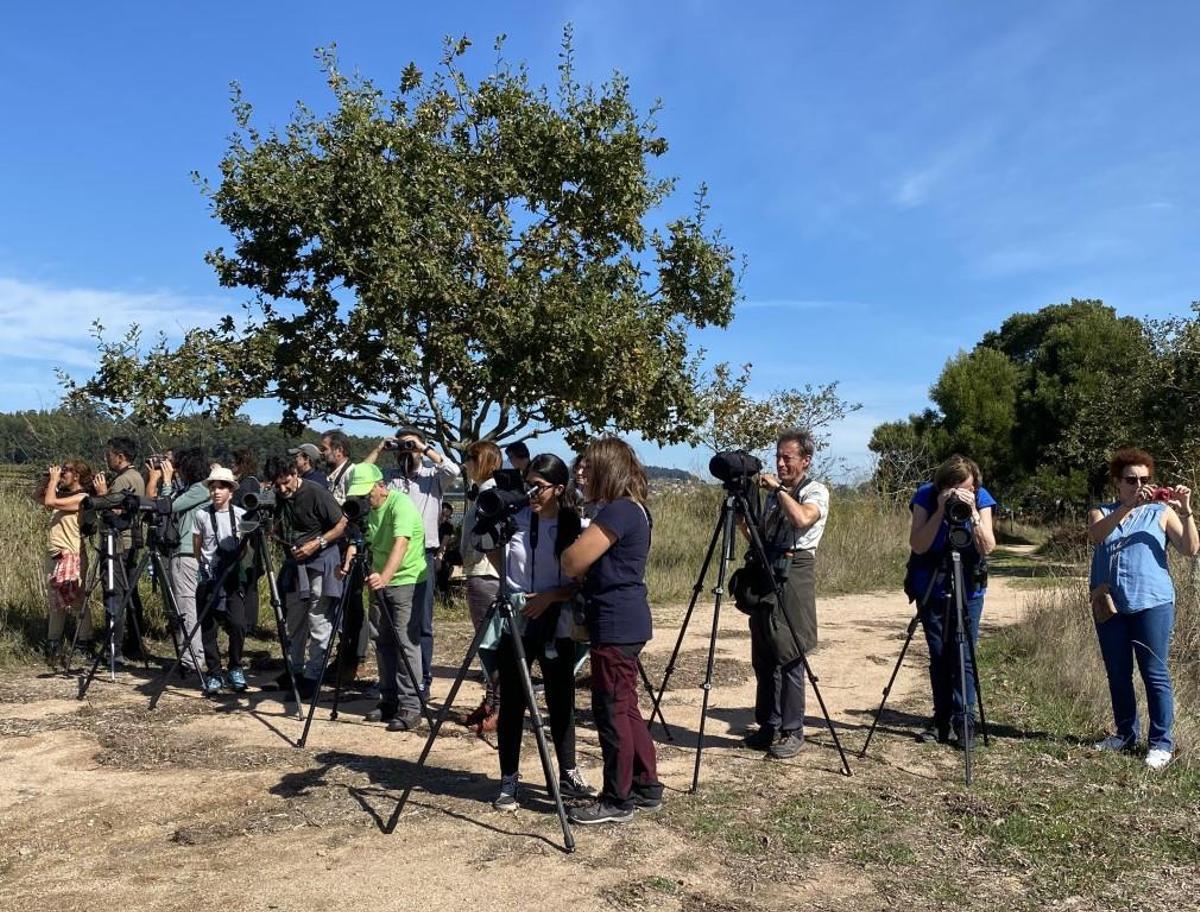 Un grupo de aficionados a la naturaleza observando aves con SEO BirdLife.