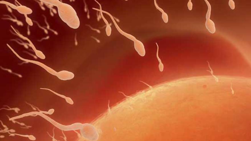 La calidad del esperma ha disminuido en los últimos años