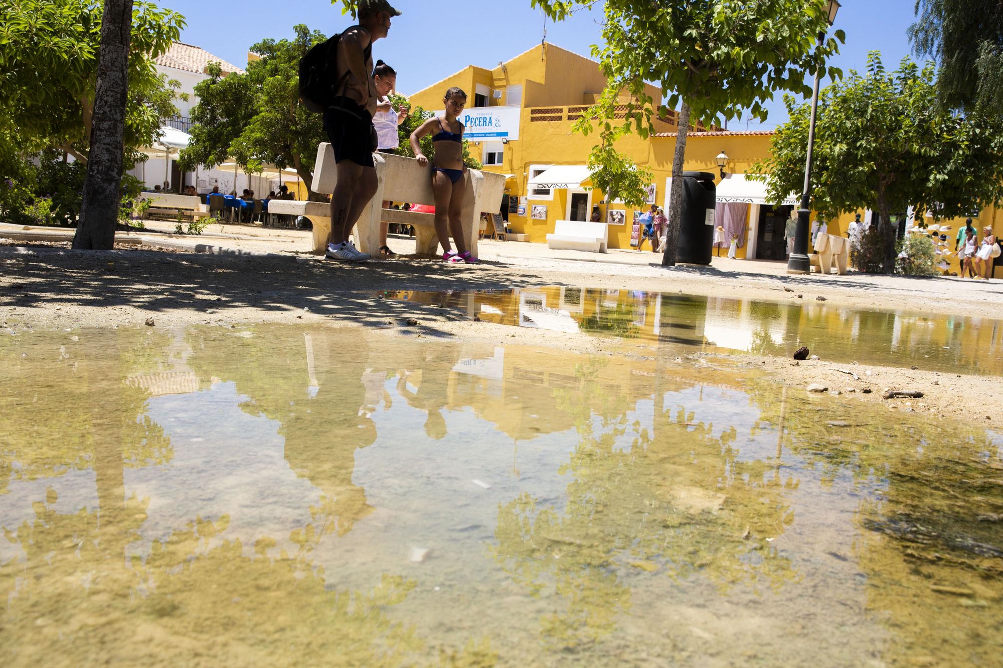 Tabarca, al 100% este verano