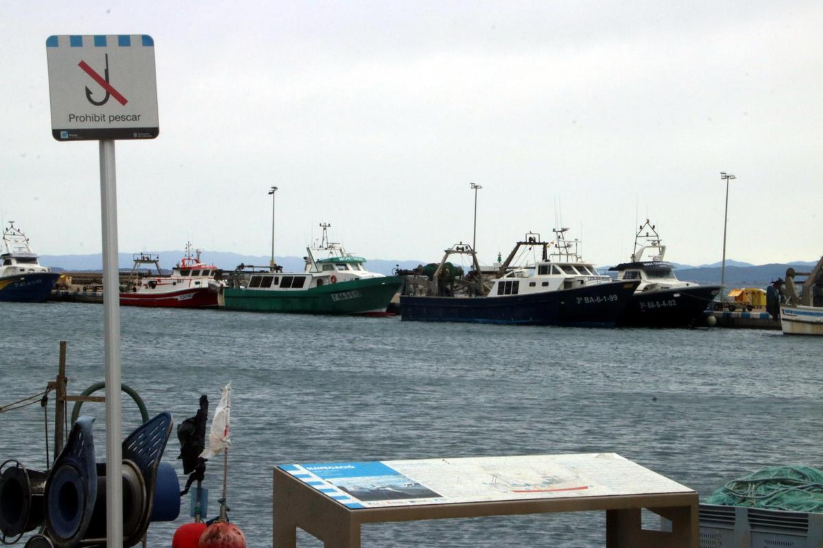 Les embarcacions al port de Roses