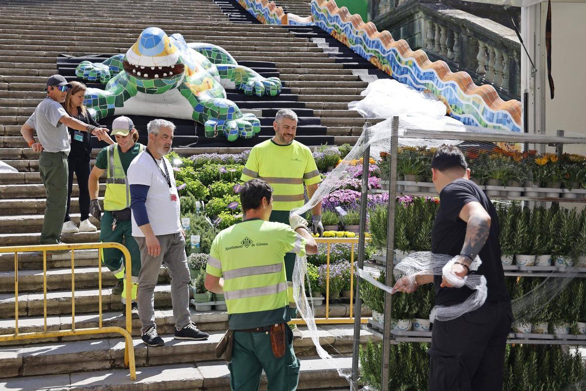 Les imatges dels preparatius de Temps de Flors Les imatges dels preparatius de Temps de Flors